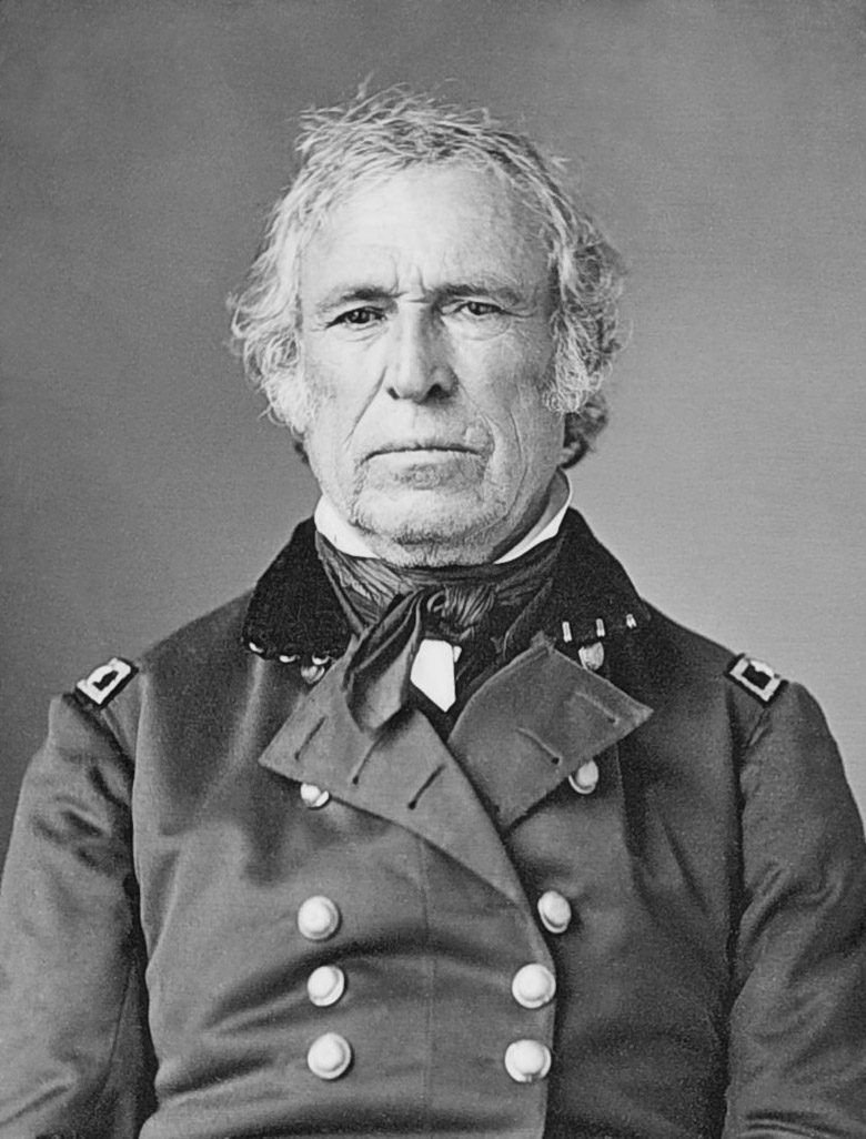 Zachary Taylor portrait