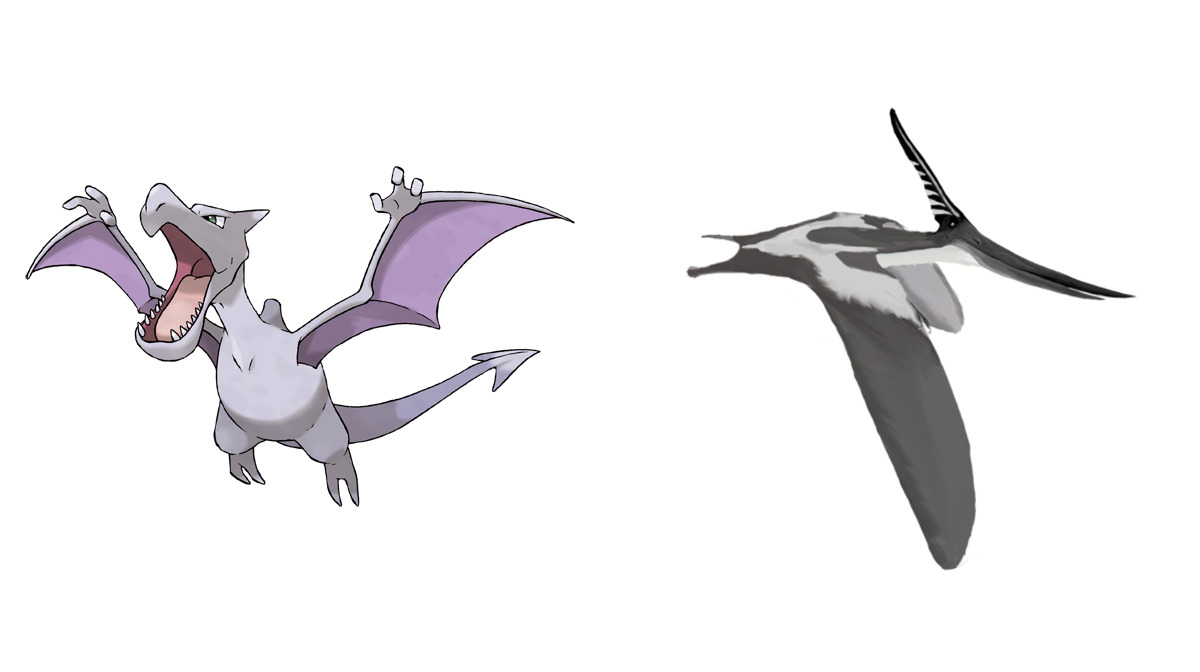 Aerodactyl compared to Pterosaur