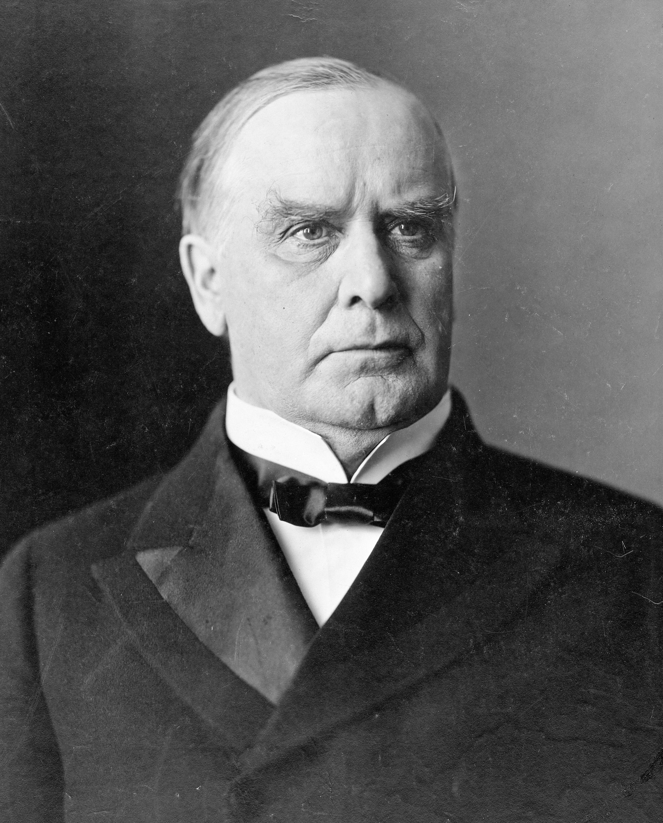 William McKinley portrait