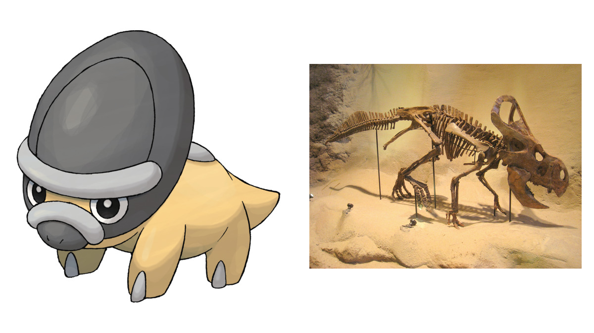 Shieldon compared to Protoceratops