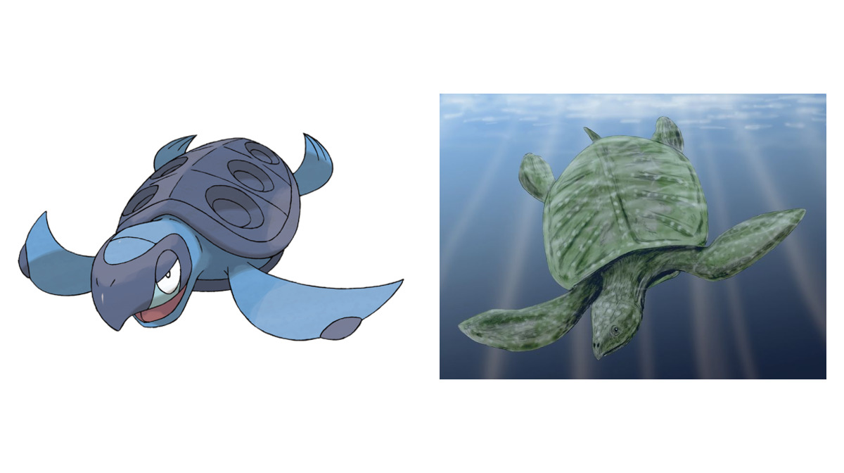 Tirtouga compared to Archelon