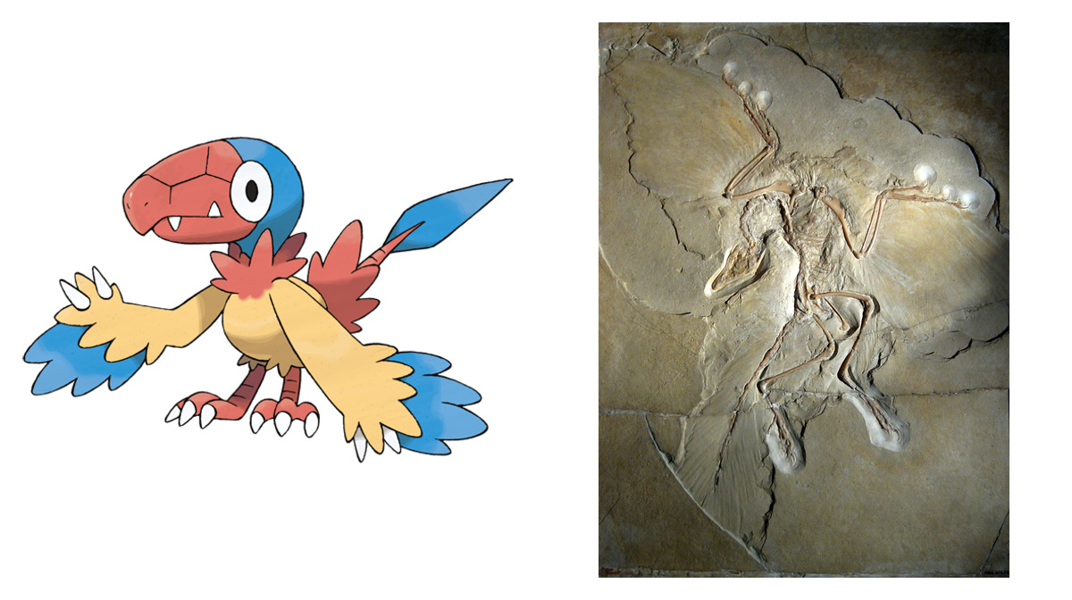 Archen compared to Archaeopteryx