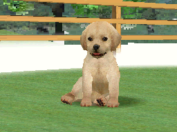 Nintendog from Nintendogs