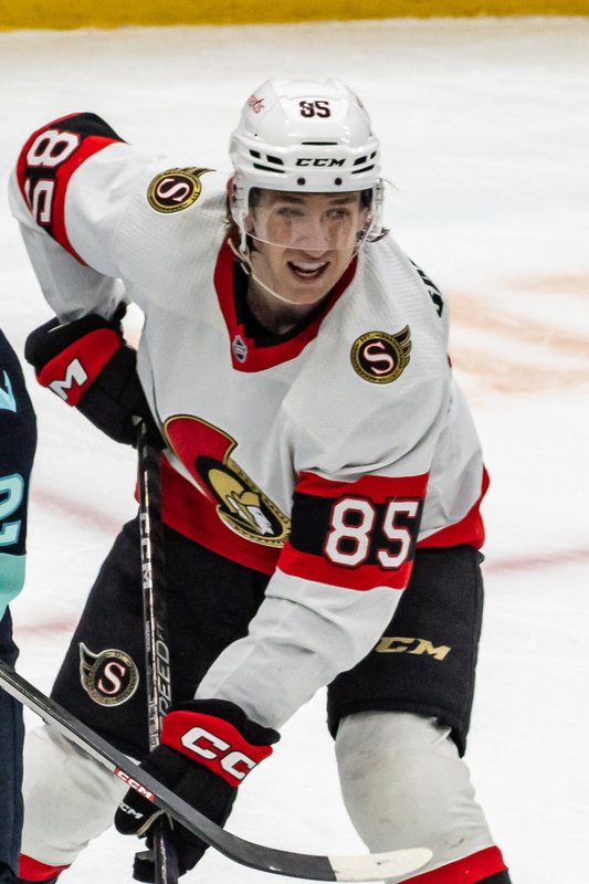 Jake Sanderson defenseman 2026 US Olympic hockey team