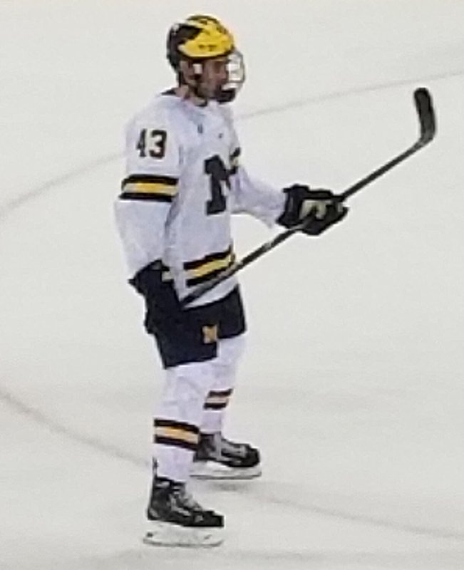 Quinn Hughes defenseman 2026 US Olympic hockey team