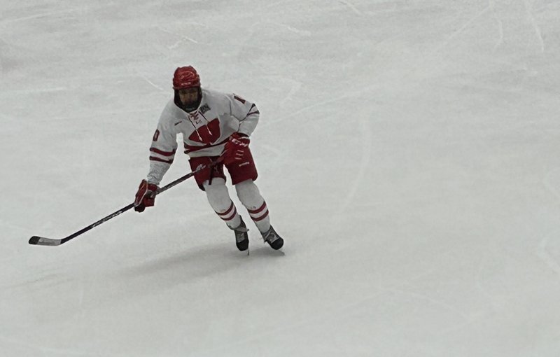 Laila Edwards defense 2026 US Olympic womens hockey team