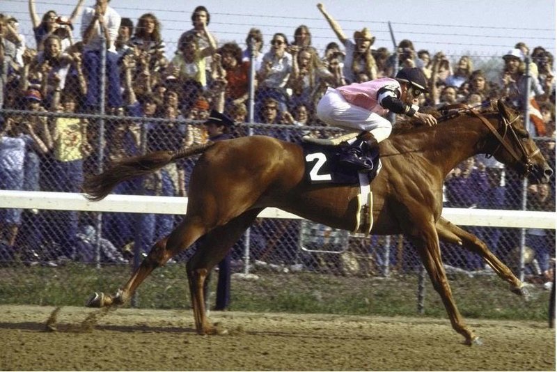 Affirmed - 1978 Triple Crown winner
