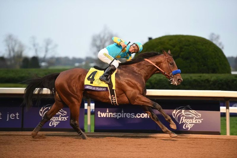 American Pharoah - 2015 Triple Crown winner