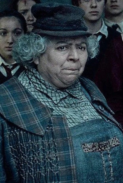 Pomona Sprout - Herbology professor at Hogwarts