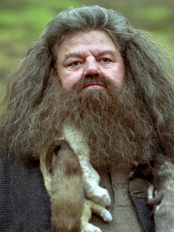 Rubeus Hagrid - Care of Magical Creatures professor at Hogwarts