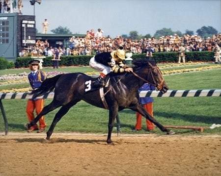 Seattle Slew - 1977 Triple Crown winner