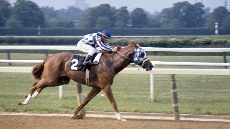 Secretariat - 1973 Triple Crown winner at the Belmont Stakes