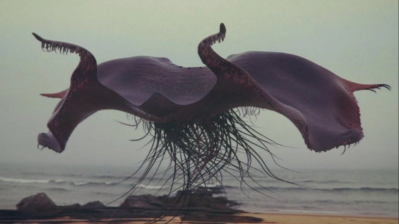 Lethifold dark creature Harry Potter