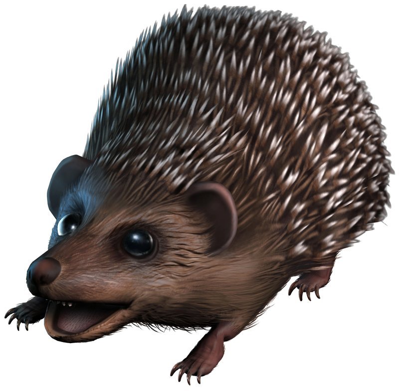 Knarl magical creature Harry Potter