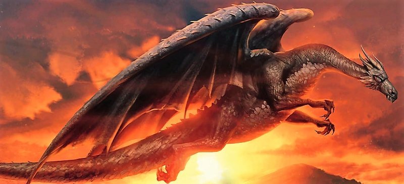 Dragon magical creature Harry Potter