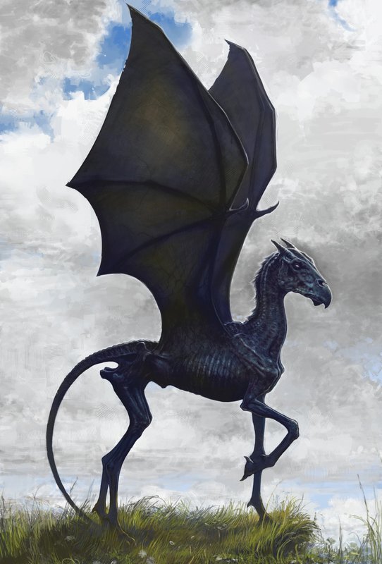Thestral winged horse creature Harry Potter