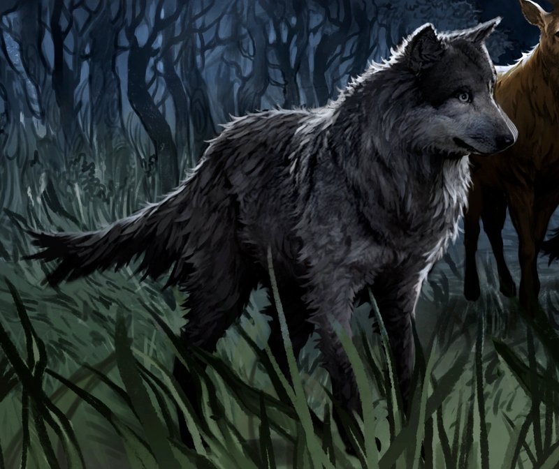 Werewolf dark creature Harry Potter