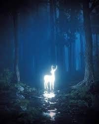 Patronus Communication