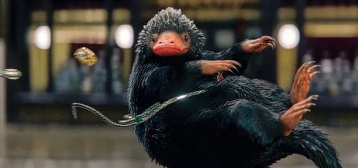 Magical creatures from Harry Potter — Niffler and friends