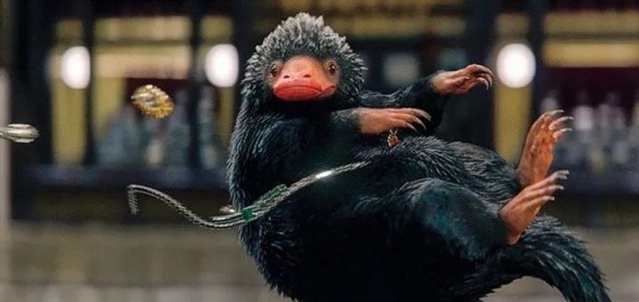 Magical creatures from Harry Potter — Niffler and friends