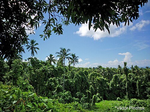 Pulemelei Mound, Savai'i, Samoa