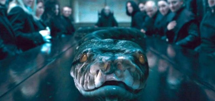 Nagini Horcrux Death Eaters Malfoy Manor Harry Potter