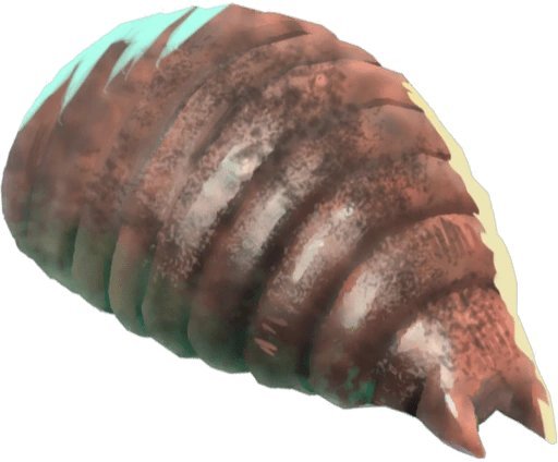 Flobberworm magical creature Harry Potter