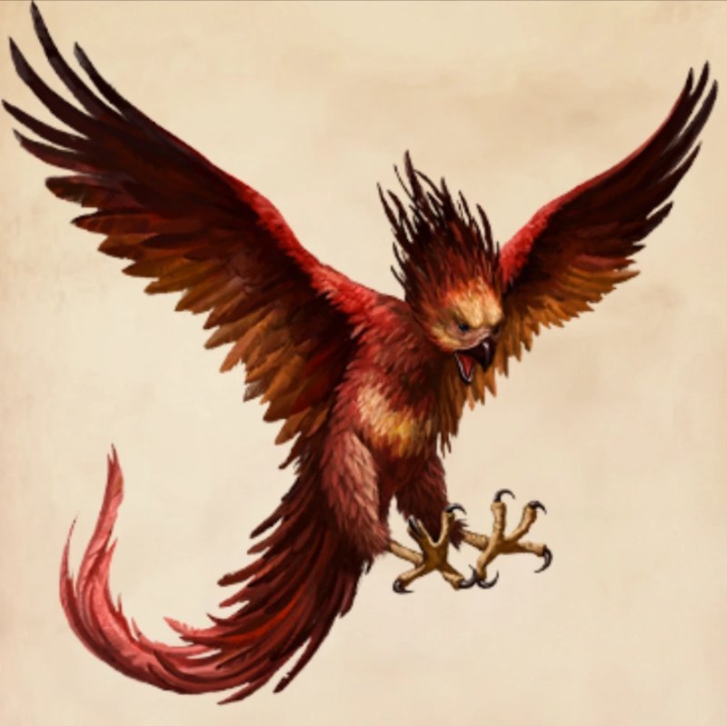 Phoenix magical bird Harry Potter Fawkes