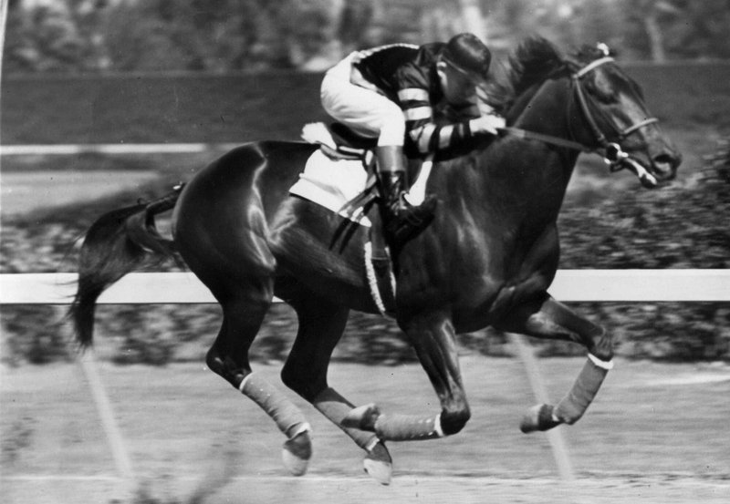 War Admiral - 1937 Triple Crown winner