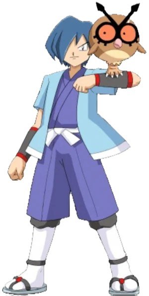 Falkner - Violet City Gym Leader
