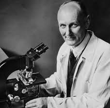 Nobel Prize without its laureate: Gerhard Domagk