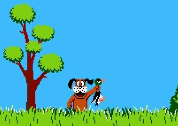 Duck Hunt