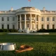 presidents who never had a dog