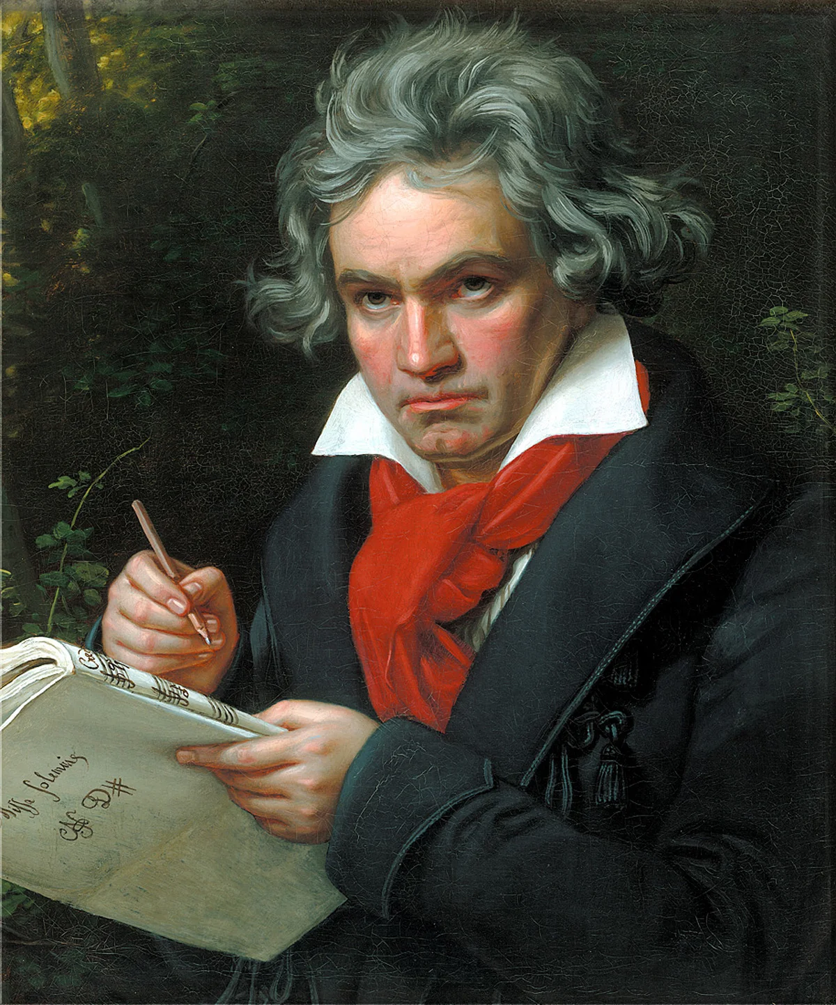 Beethoven, Fifth Symphony (First Movement)