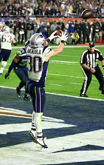 Danny Amendola - 4 Yards, Super Bowl XLIX