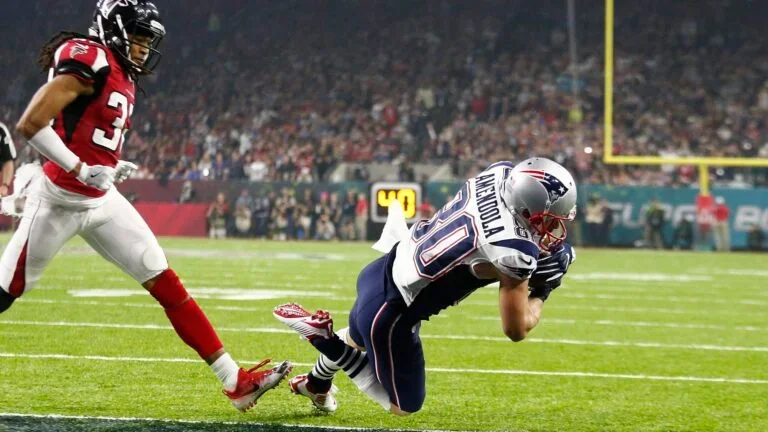 Danny Amendola - 6 Yards, Super Bowl LI