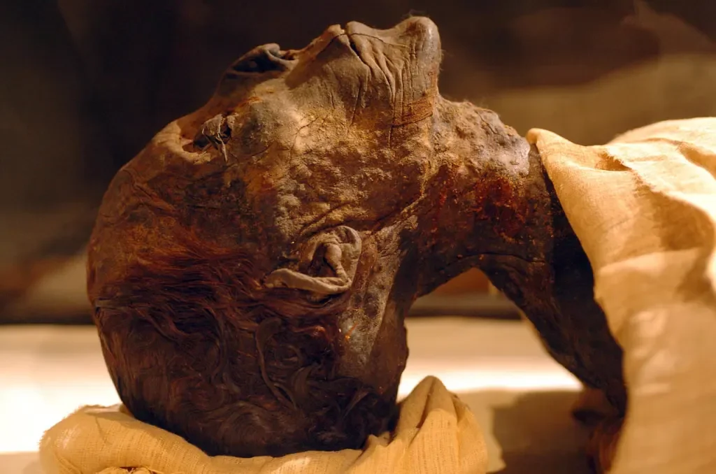Amenhotep II