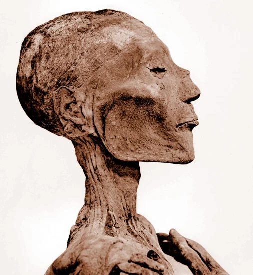 Ramesses V