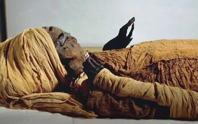 Seqenenre Taa II, royal mummies parade