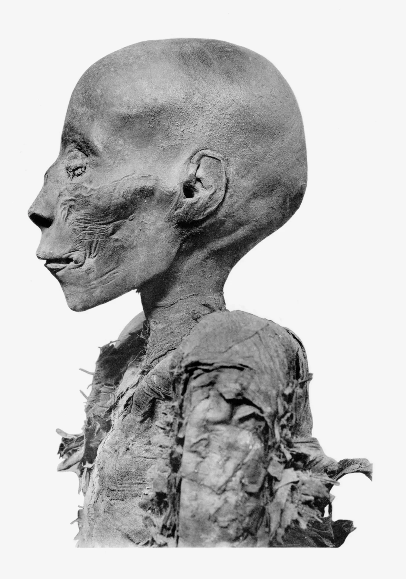 Thutmose I