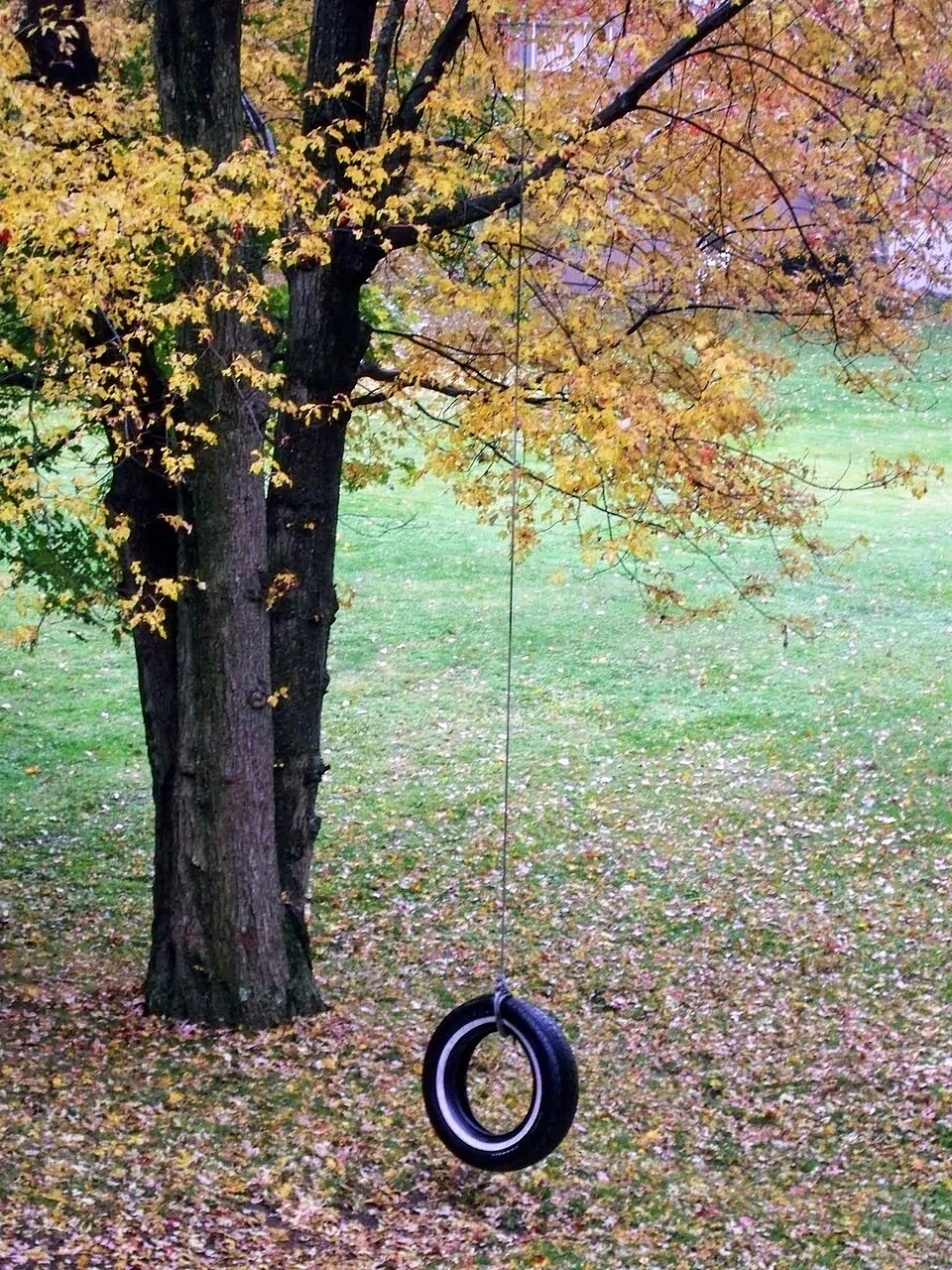 Swing
