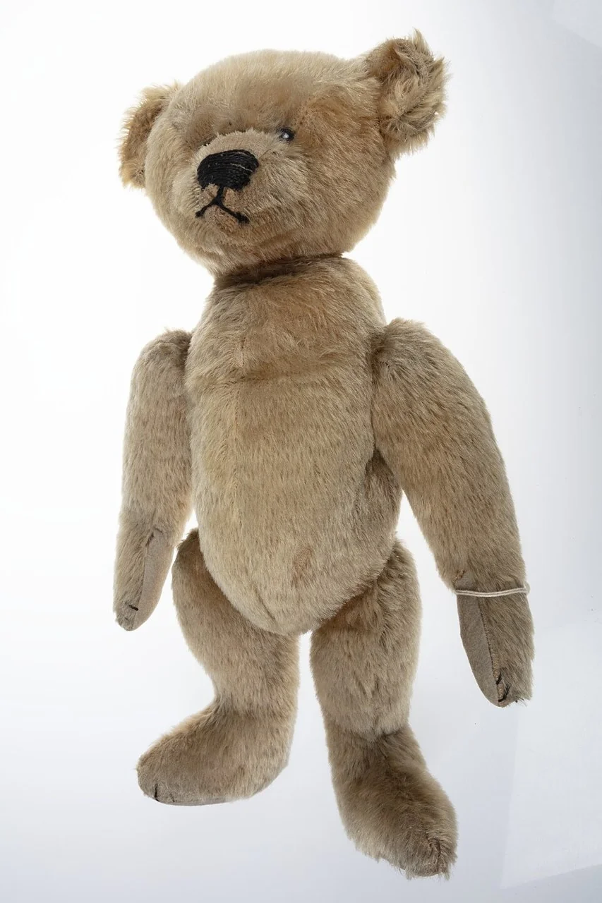 Teddy Bear